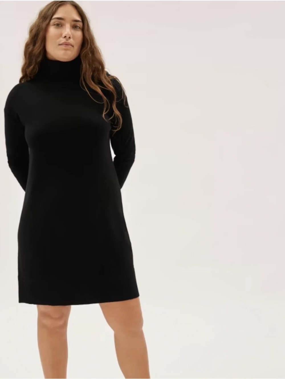 Everlane Women’s The Cashmere Turtleneck Dress Sz M